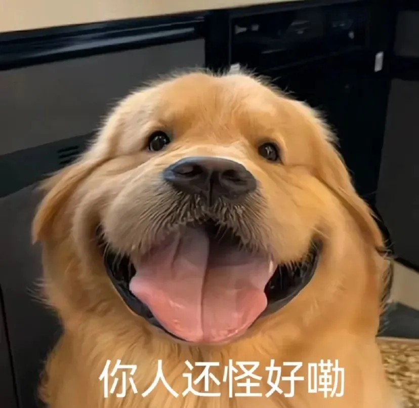 ilnzyrlf.png ilnzyrlf.png